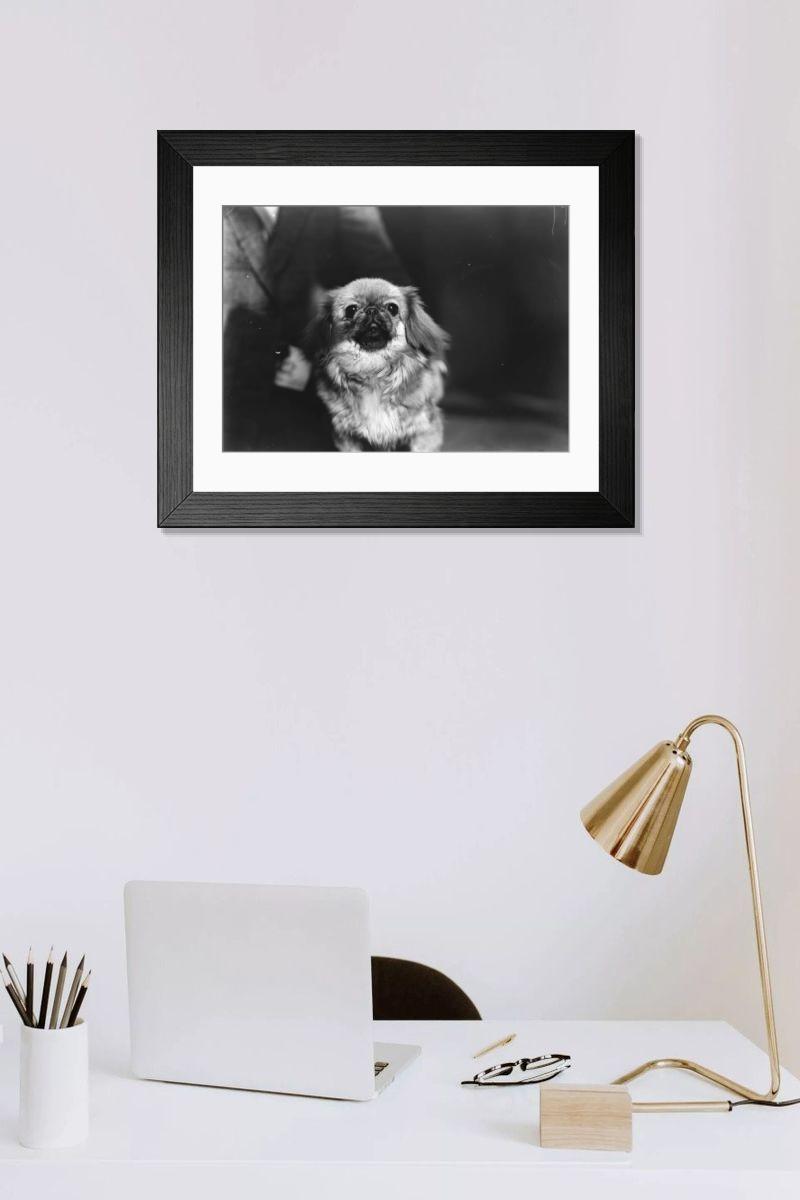 Shown hanging in a room: Modern 14"x12" (36x31cm)