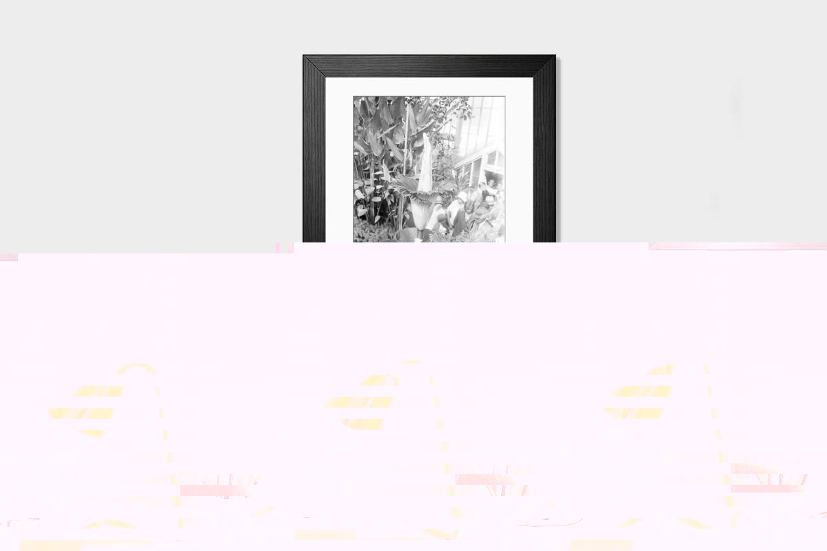Shown hanging in a room: Modern 14"x12" (36x31cm)
