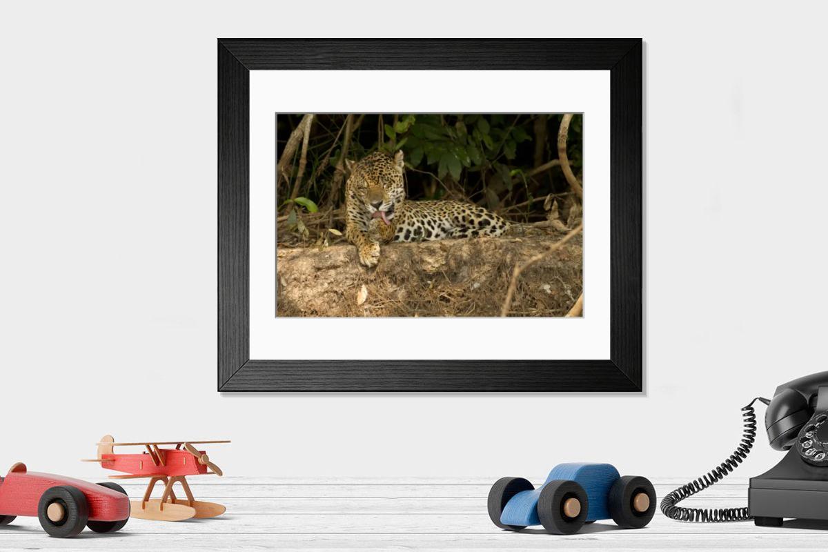 product preview 0