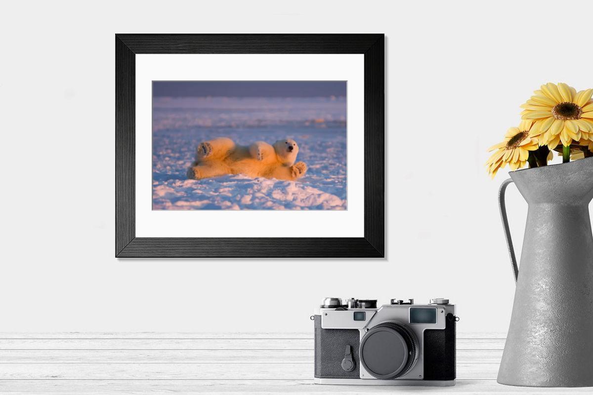 product preview 0
