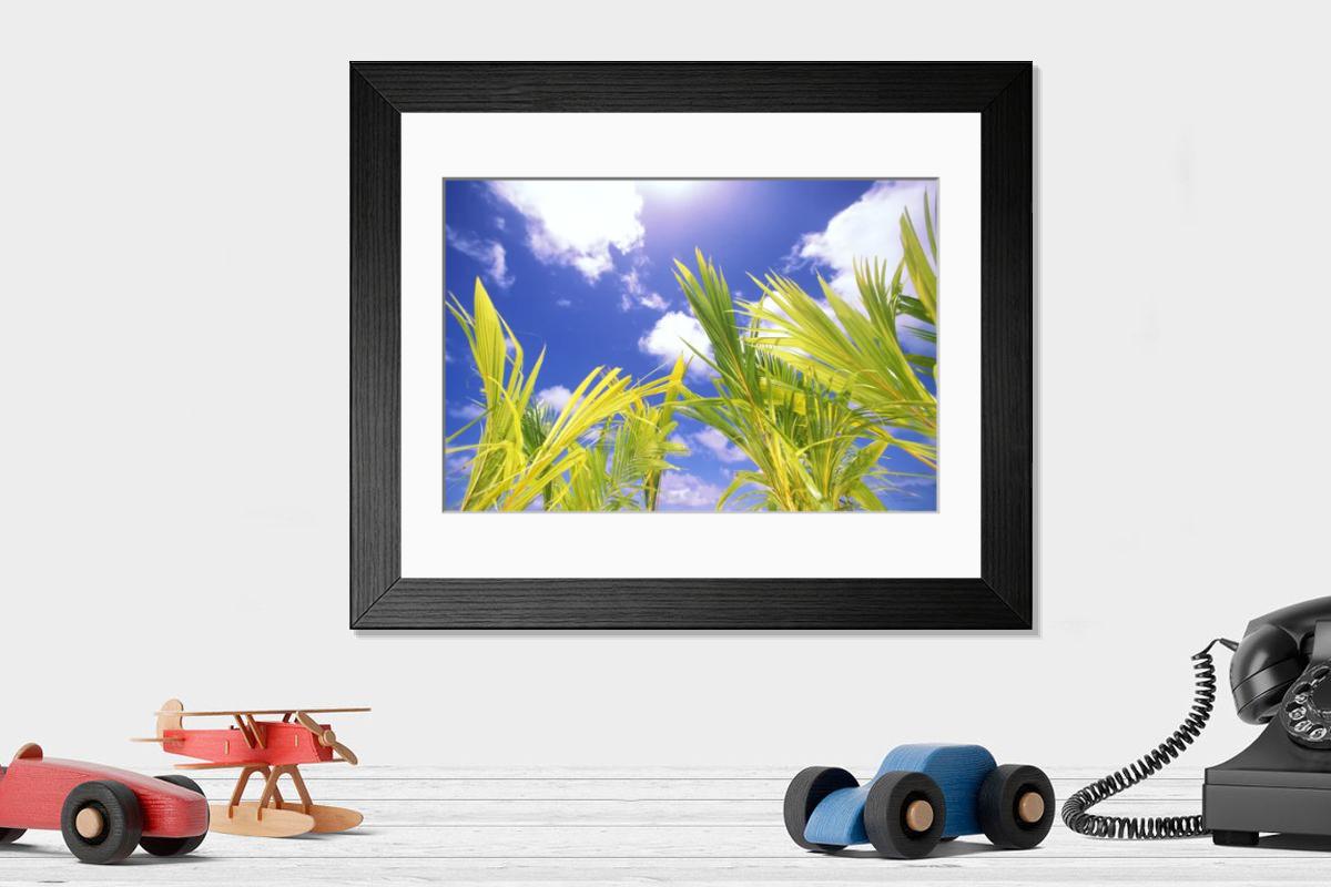 product preview 0