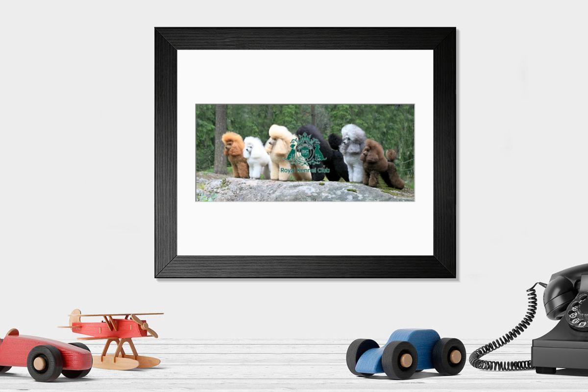 product preview 0