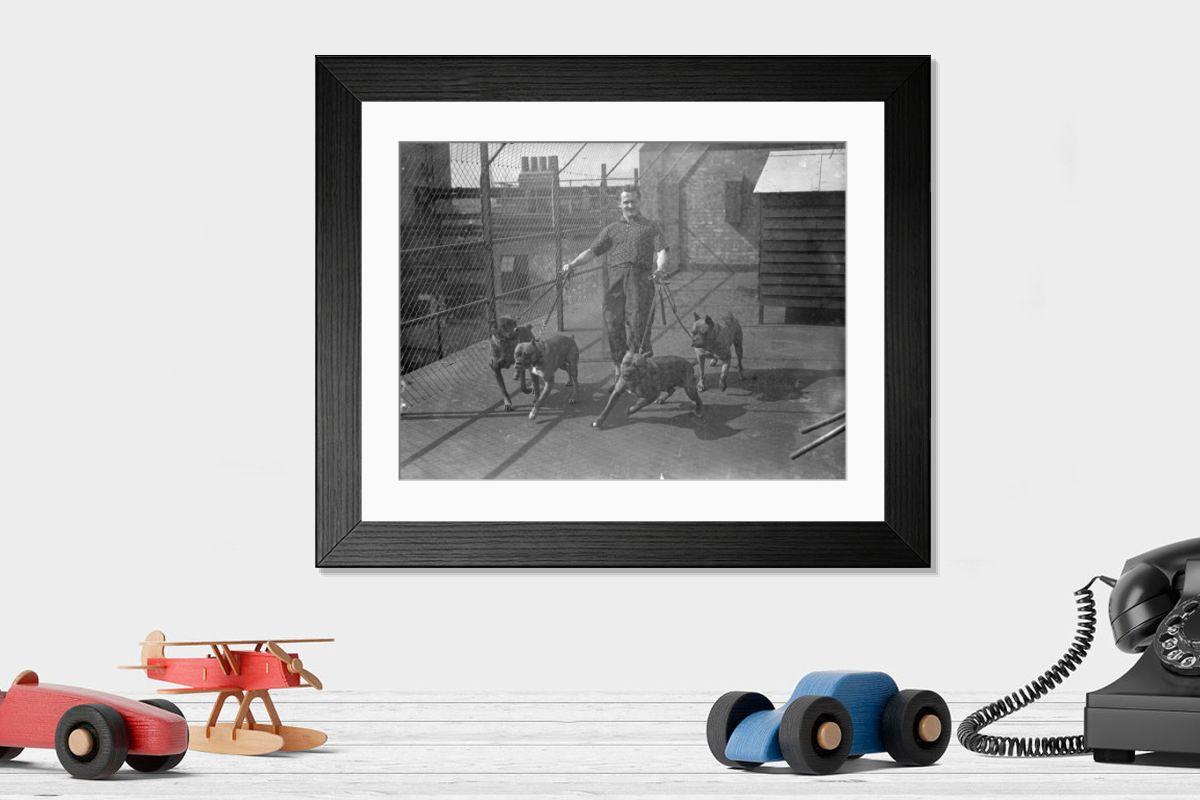 Shown hanging in a room: Modern 14"x12" (36x31cm)