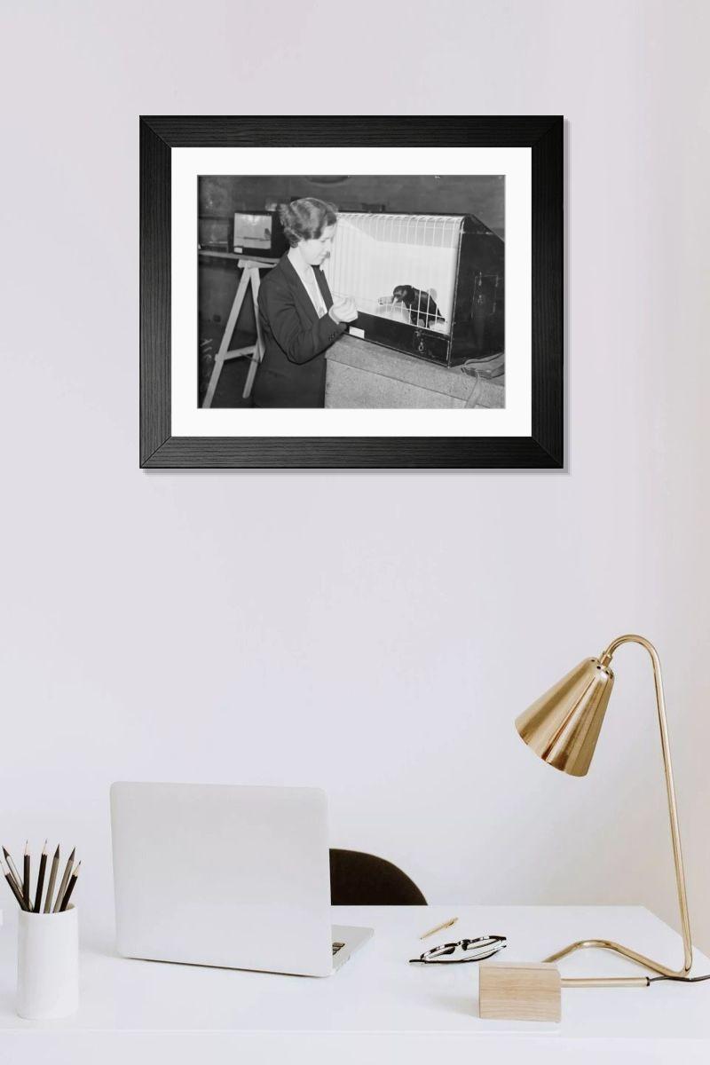 Shown hanging in a room: Modern 14"x12" (36x31cm)