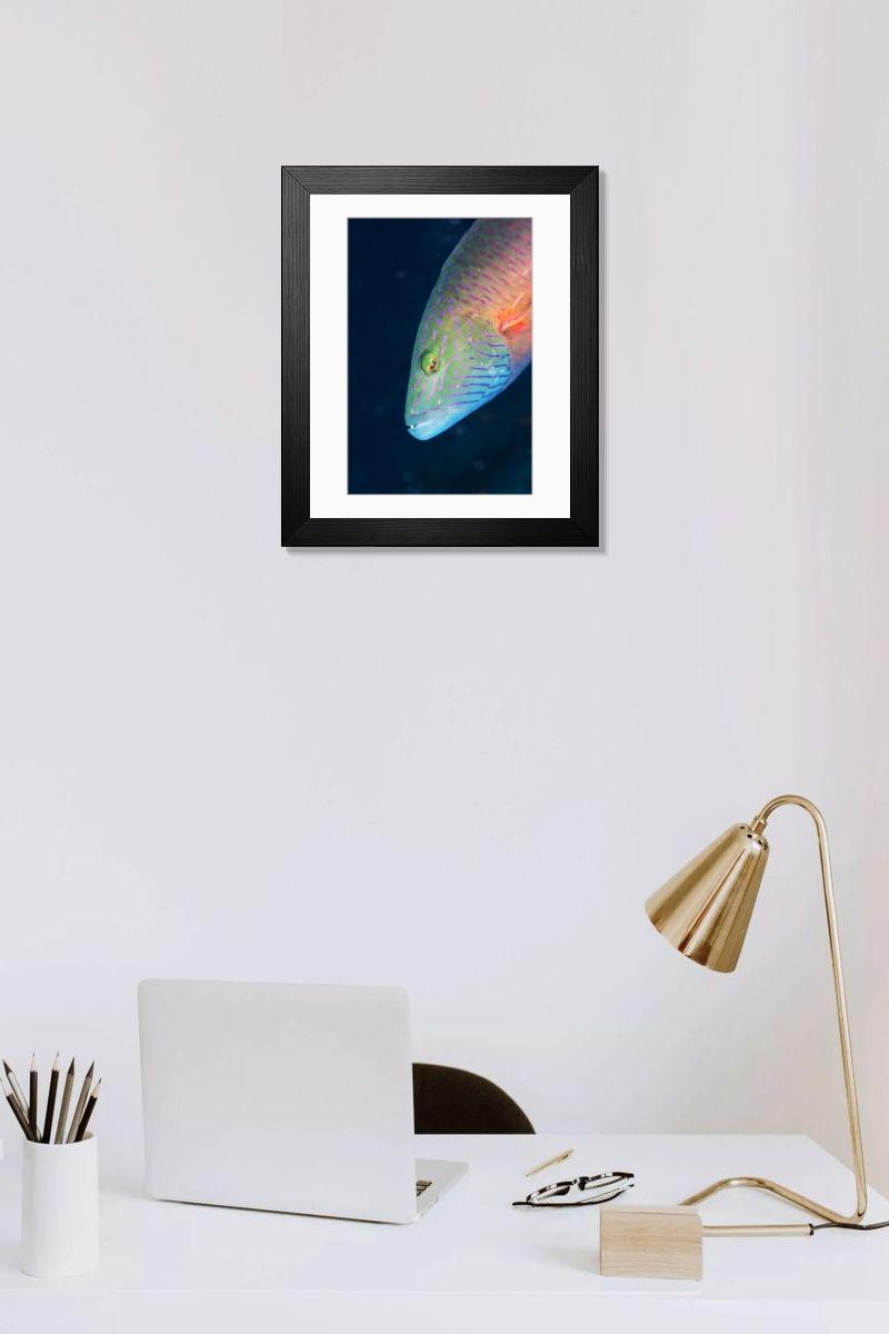 product preview 0