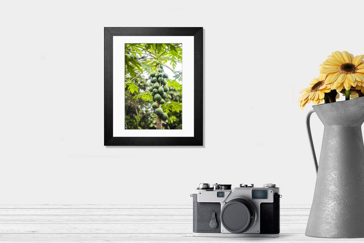product preview 0