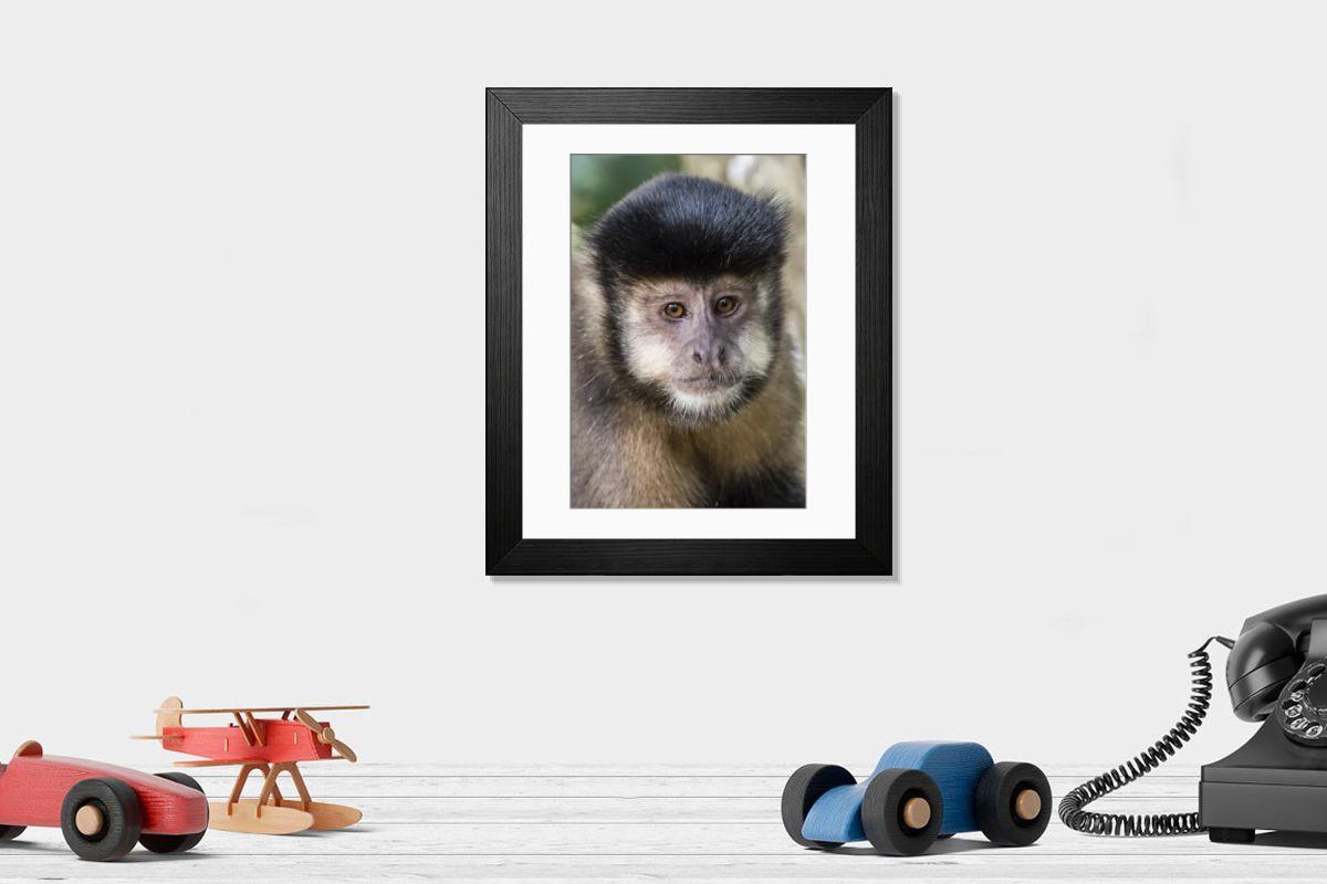 product preview 0