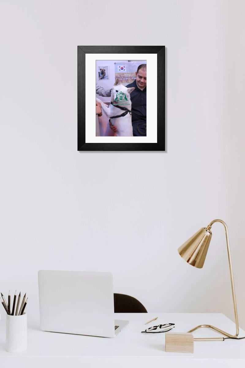 product preview 0