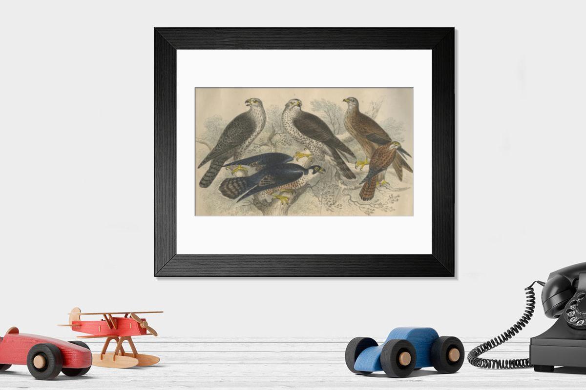 product preview 0