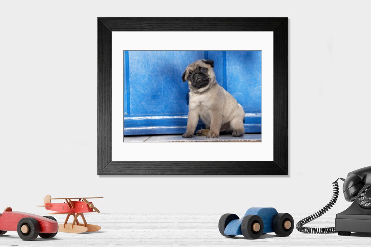 product preview 0