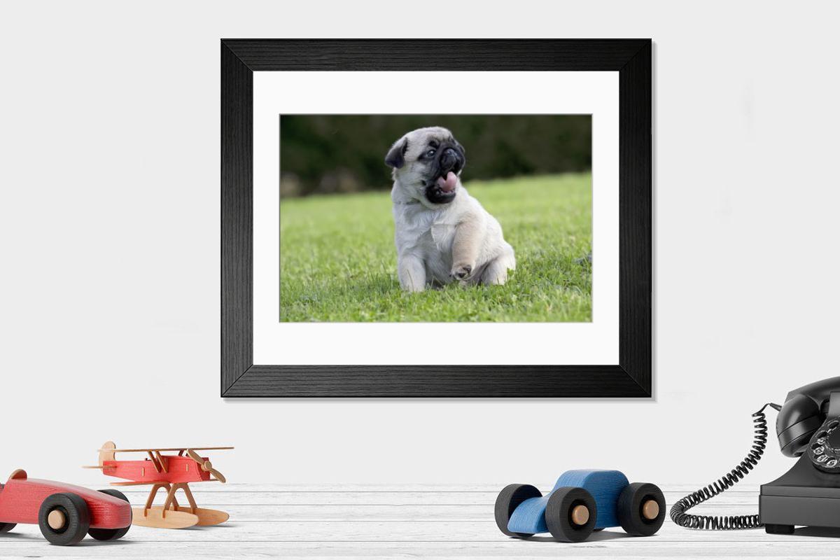 product preview 0