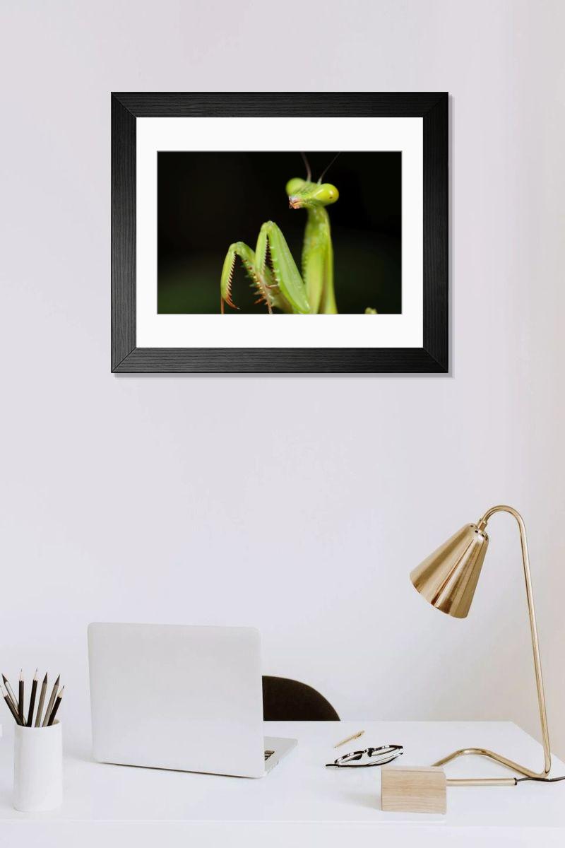 product preview 0