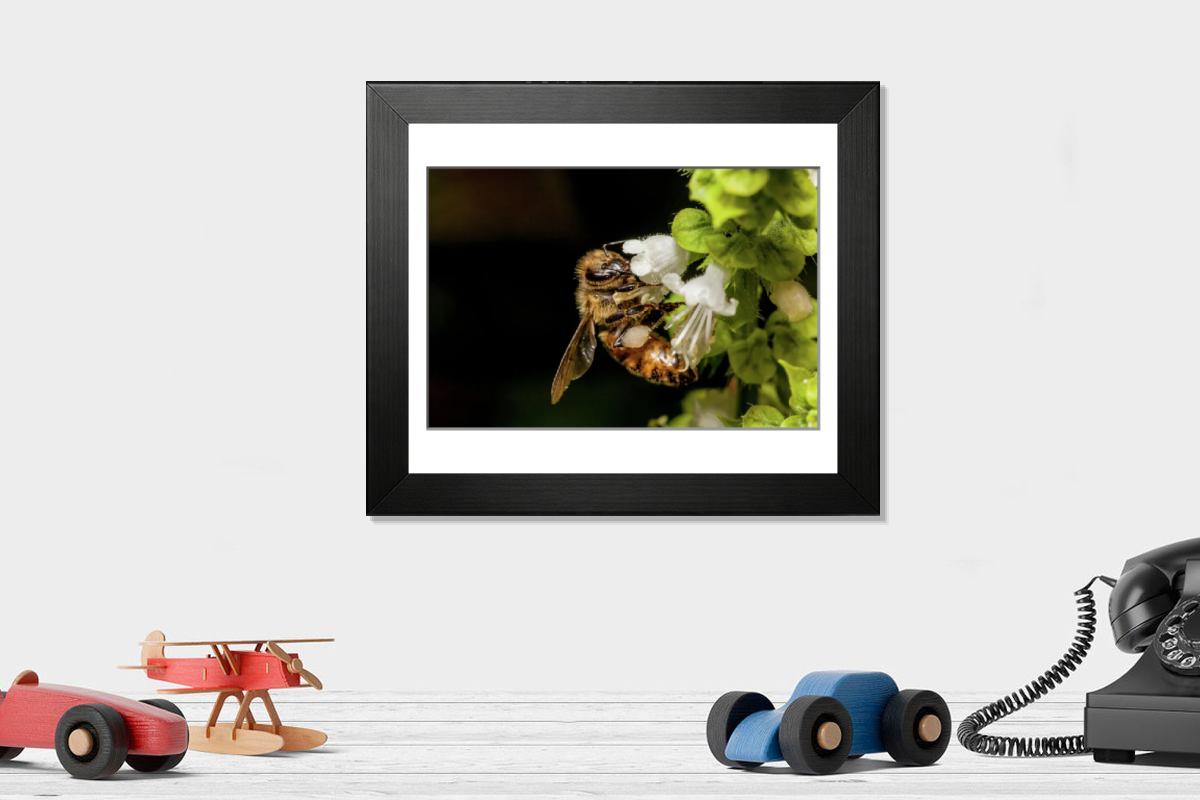 product preview 0