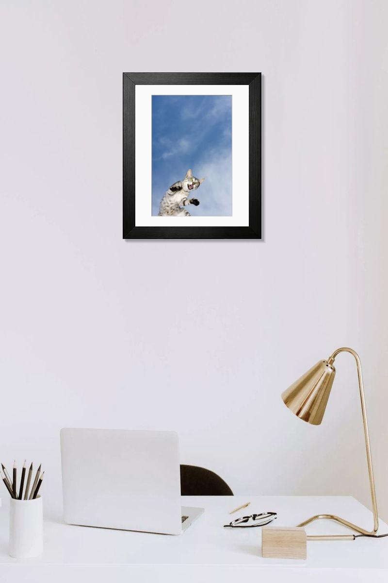 product preview 0