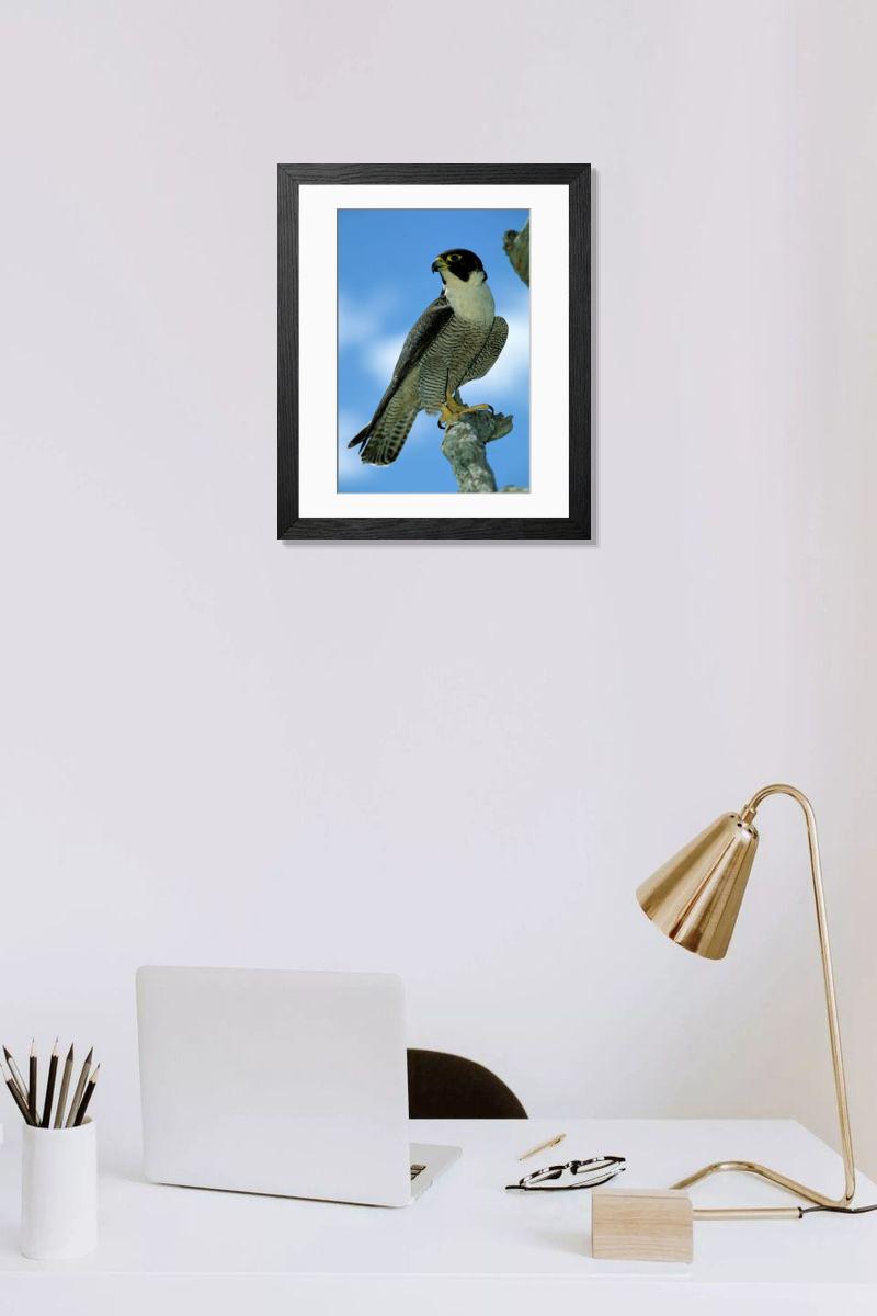 Shown hanging in a room: Modern 14"x12" (36x31cm)