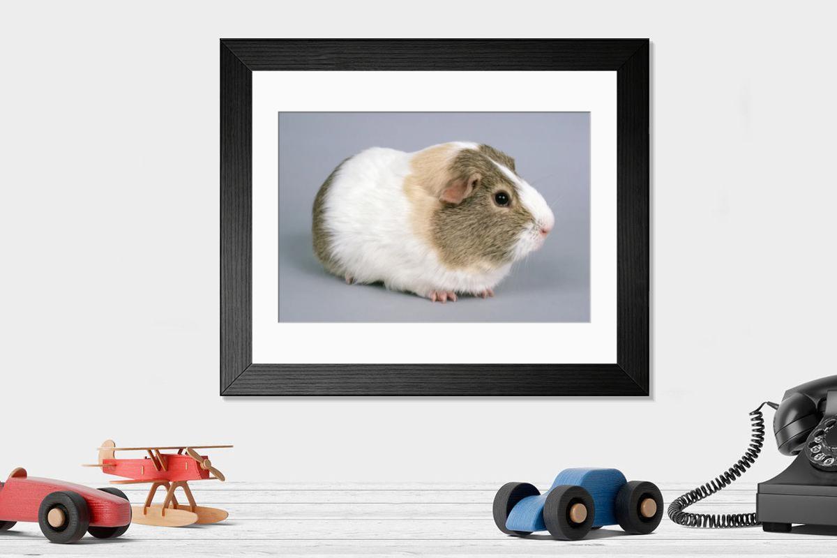 product preview 0