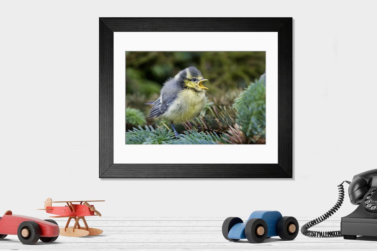 product preview 0