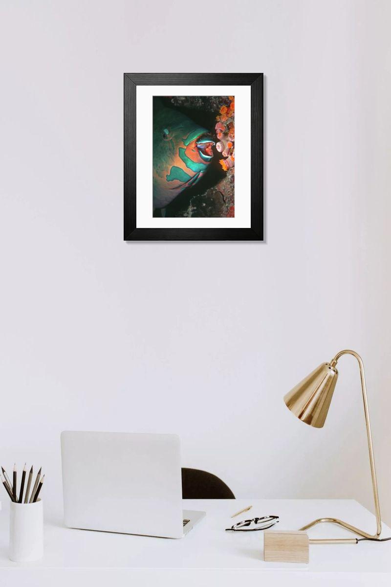 product preview 0