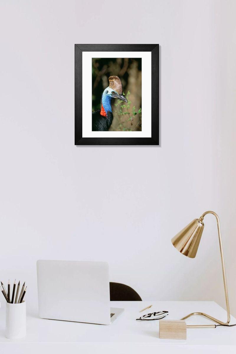 product preview 0