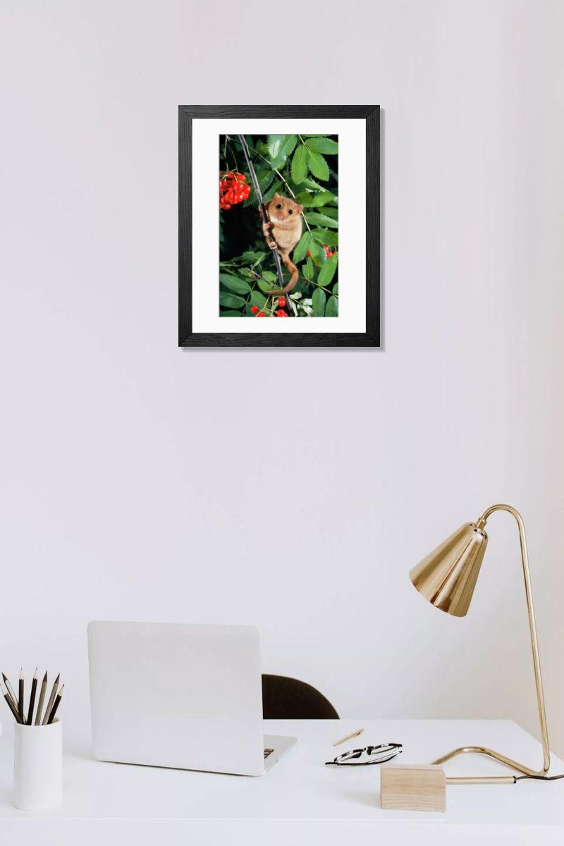 product preview 0