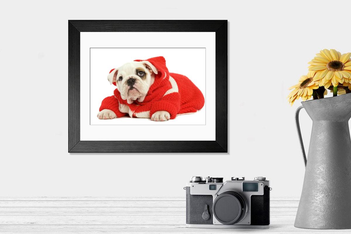 product preview 0