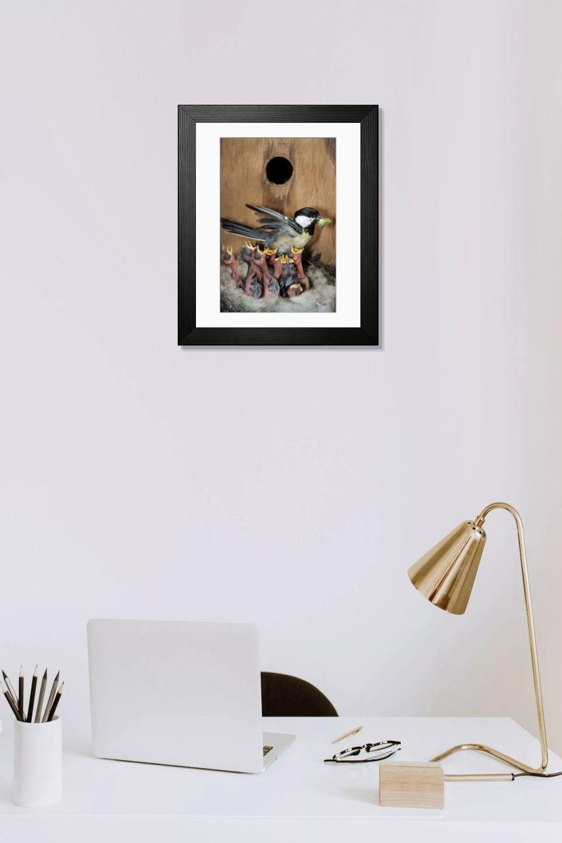 product preview 0