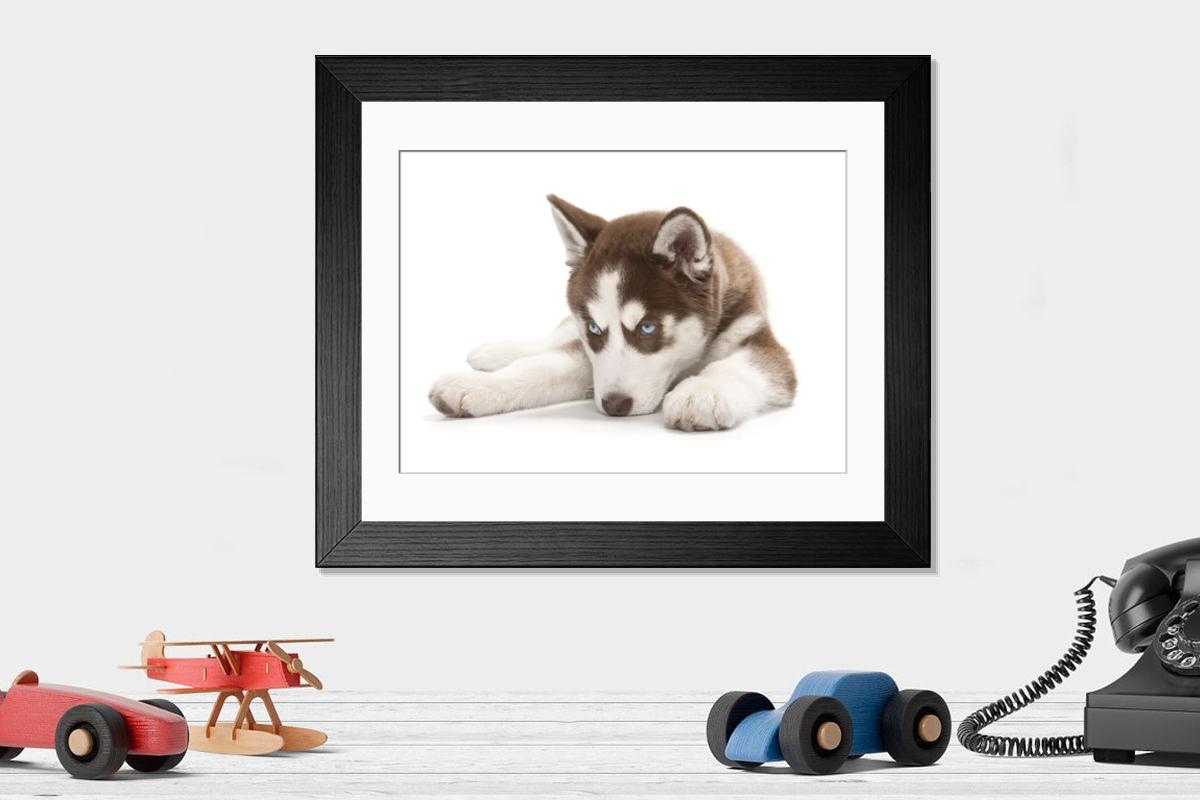 product preview 0