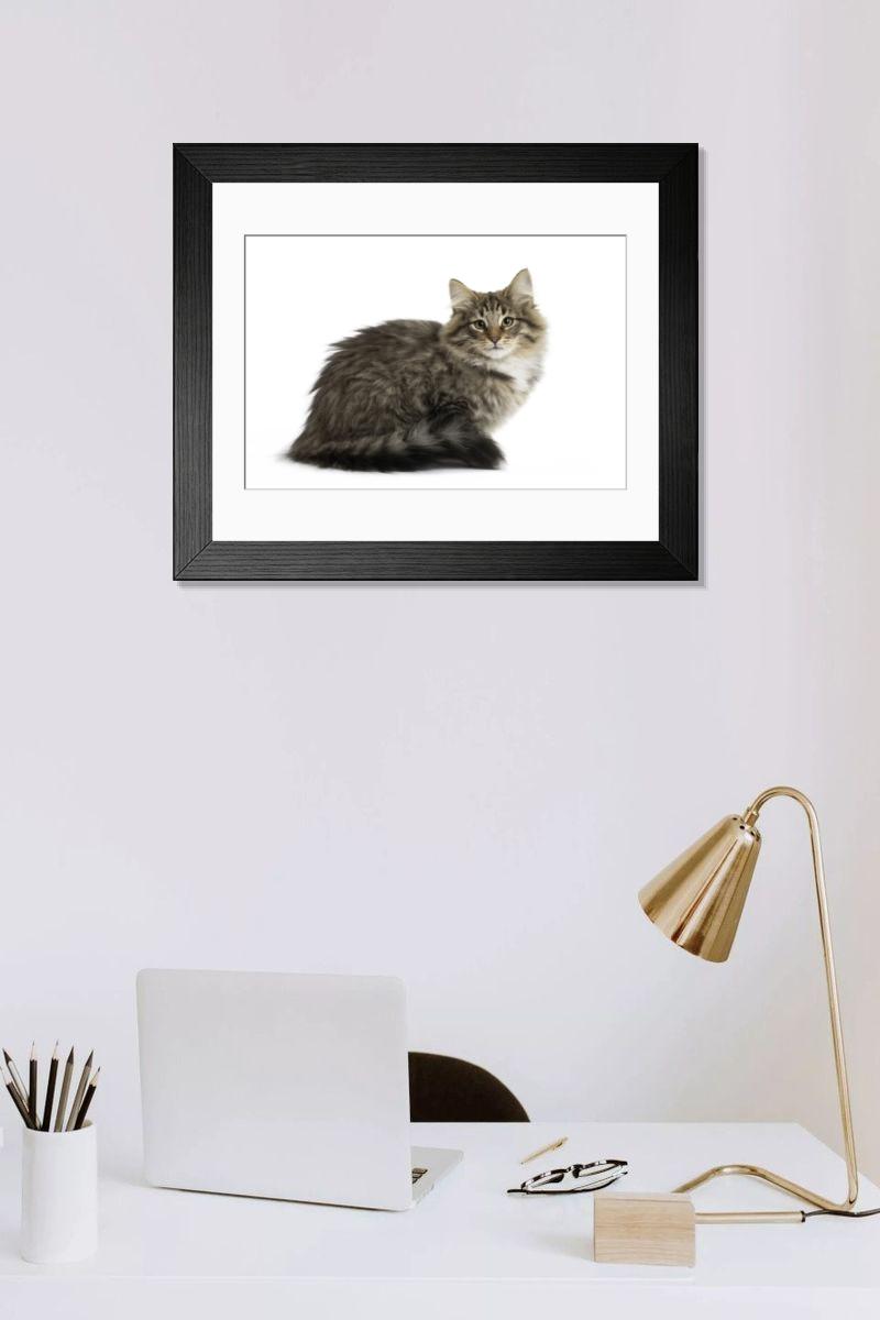 Shown hanging in a room: Modern 14"x12" (36x31cm)