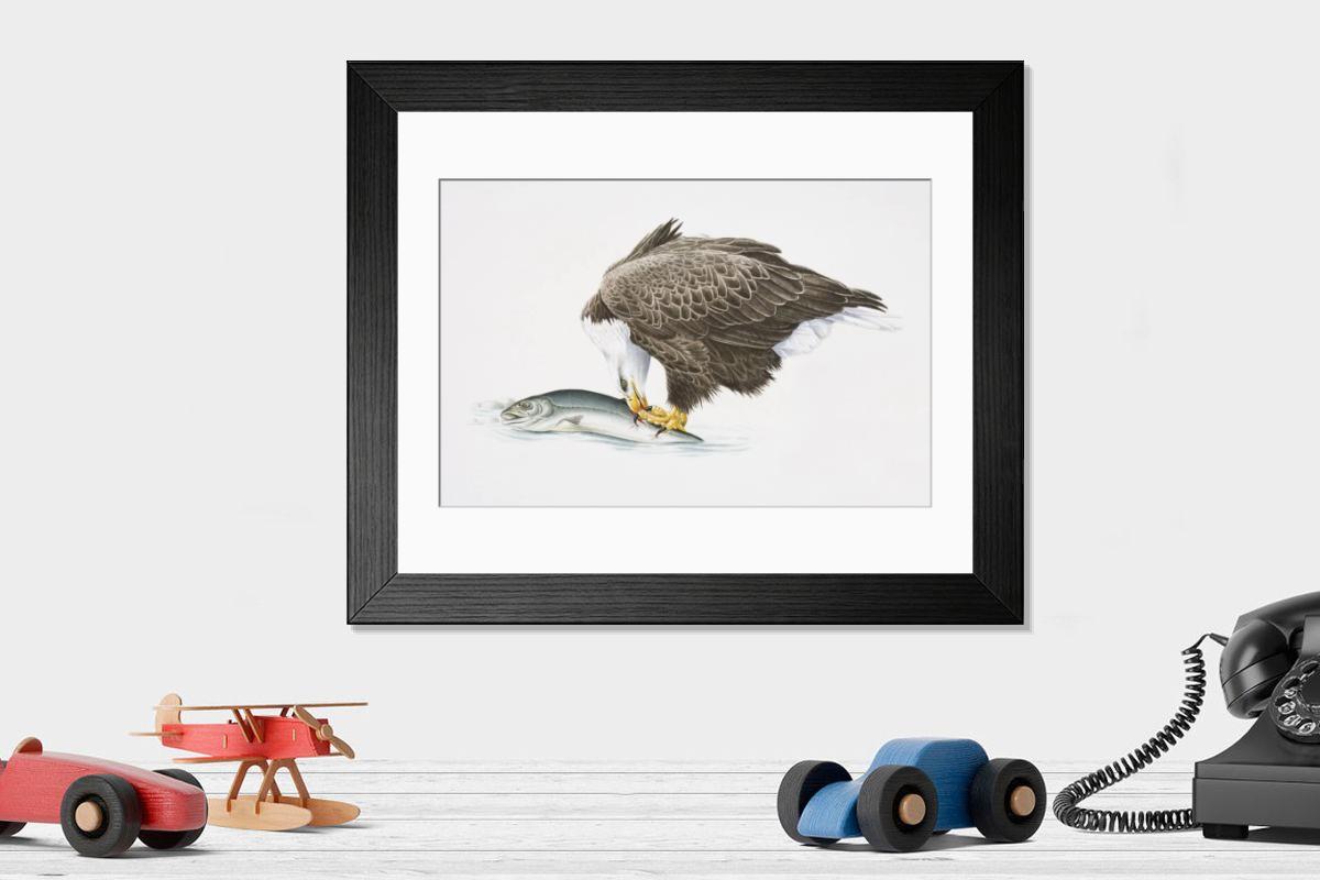 product preview 0