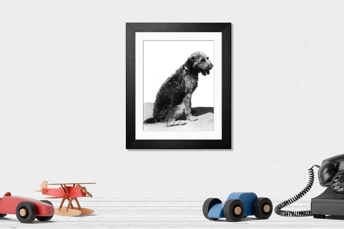 Shown hanging in a room: Modern 14"x12" (36x31cm)
