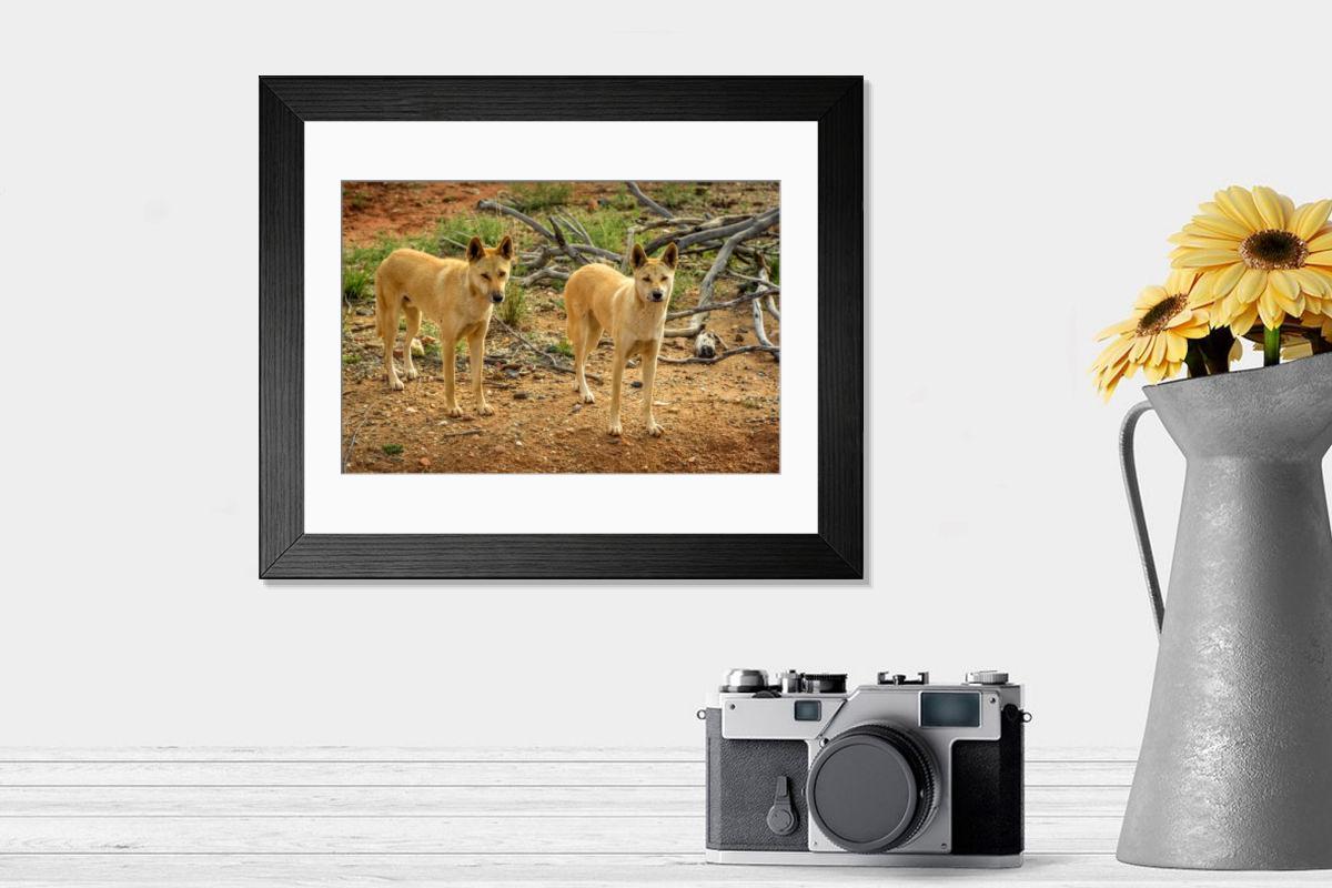 product preview 0