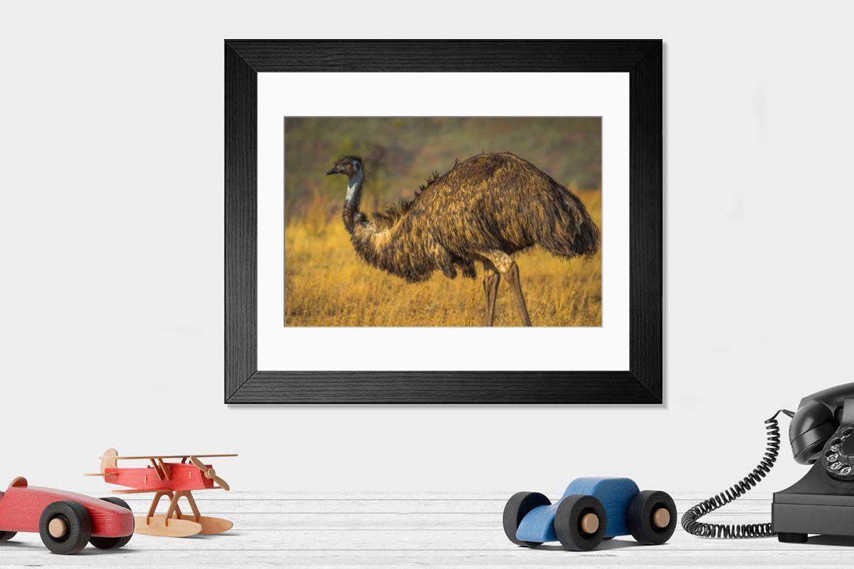 product preview 0