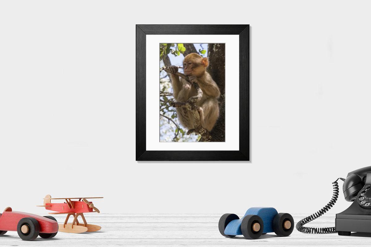 product preview 0