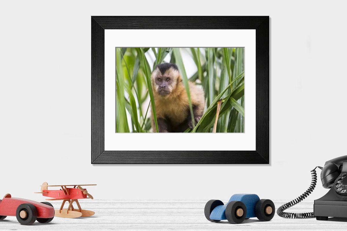 product preview 0