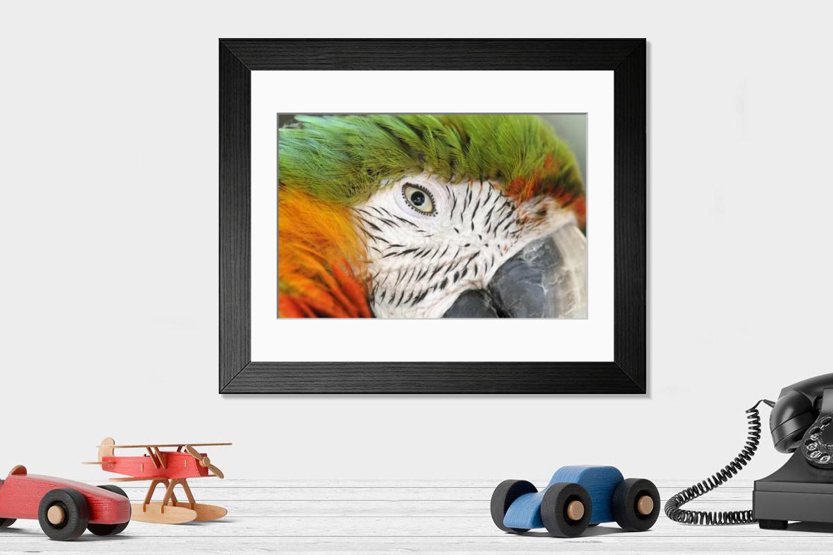 product preview 0