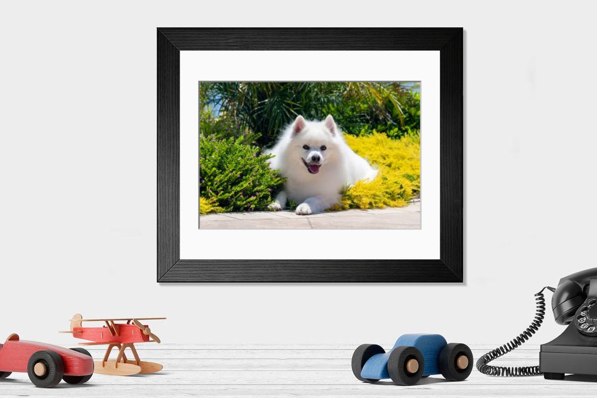 product preview 0