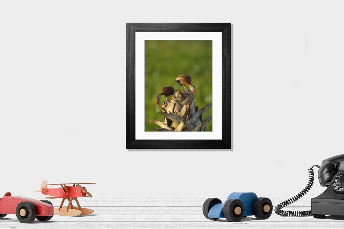 product preview 0