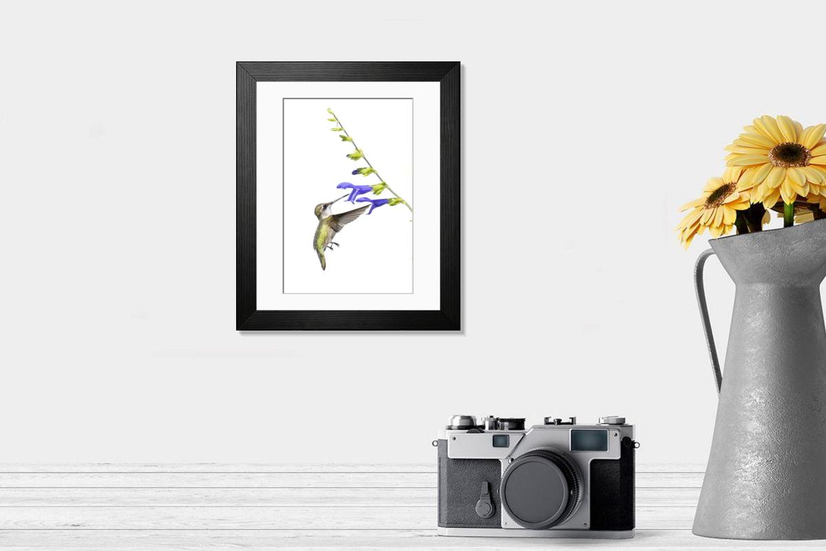 product preview 0