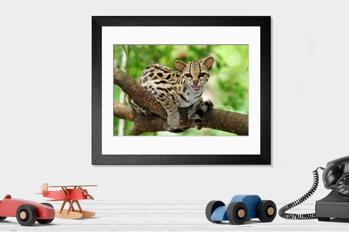 product preview 0