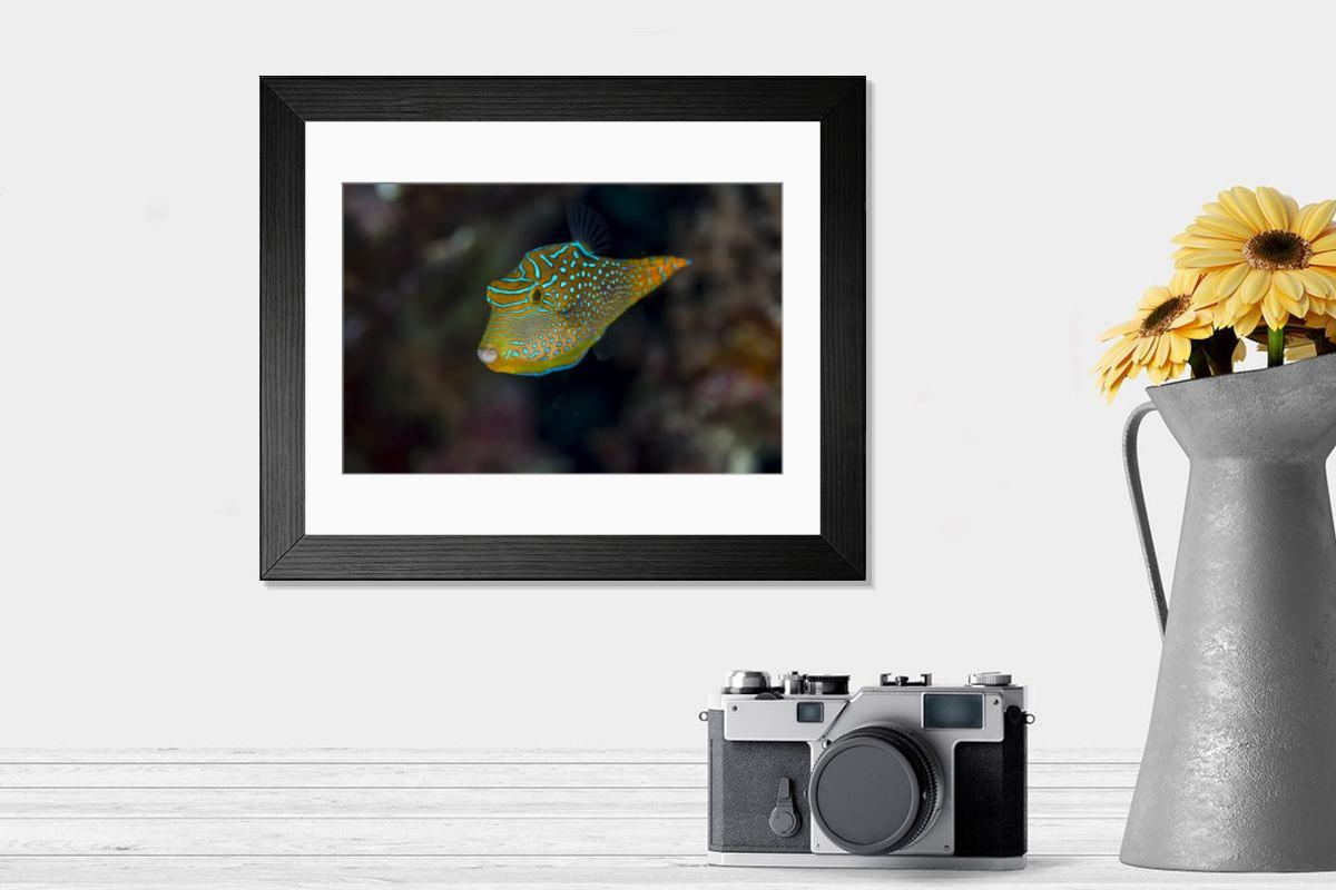 product preview 0