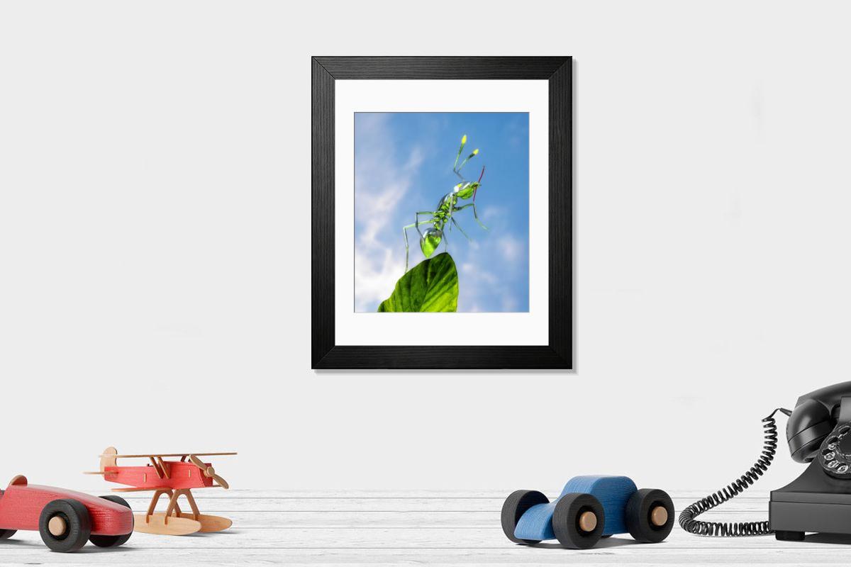product preview 0
