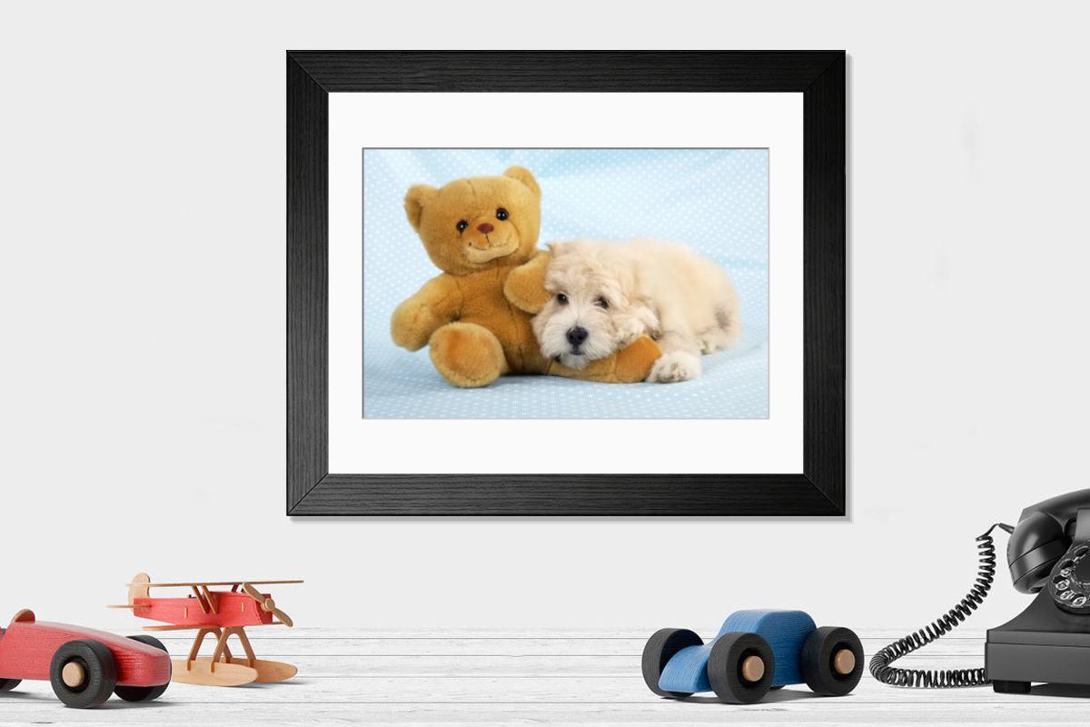 product preview 0