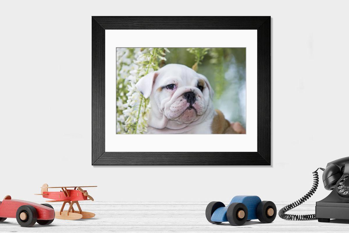 product preview 0