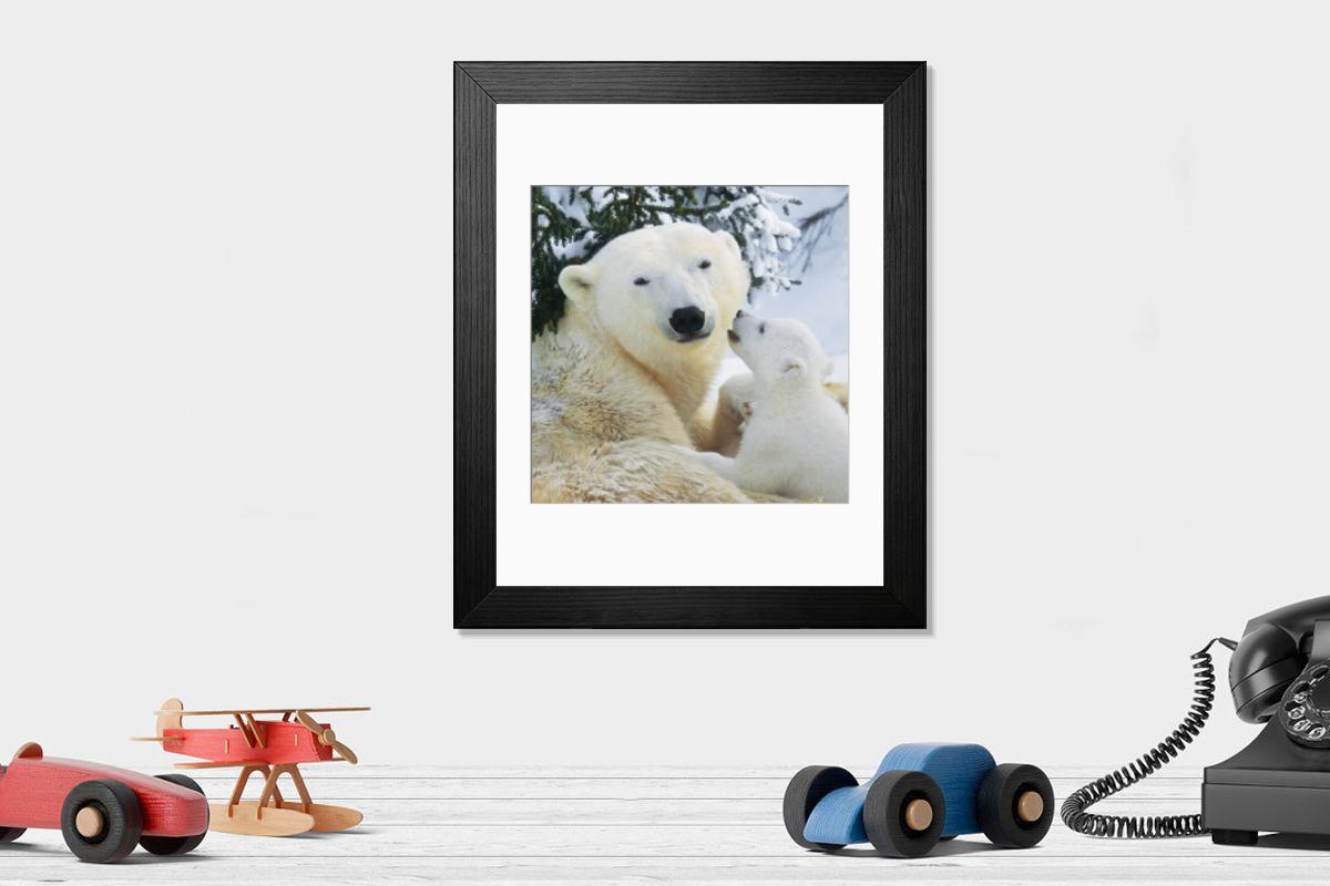 product preview 0
