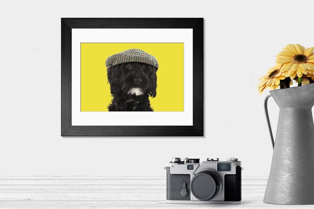 product preview 0