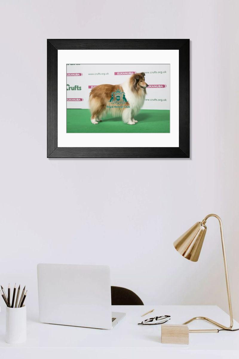 product preview 0