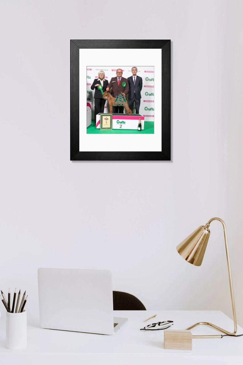 product preview 0