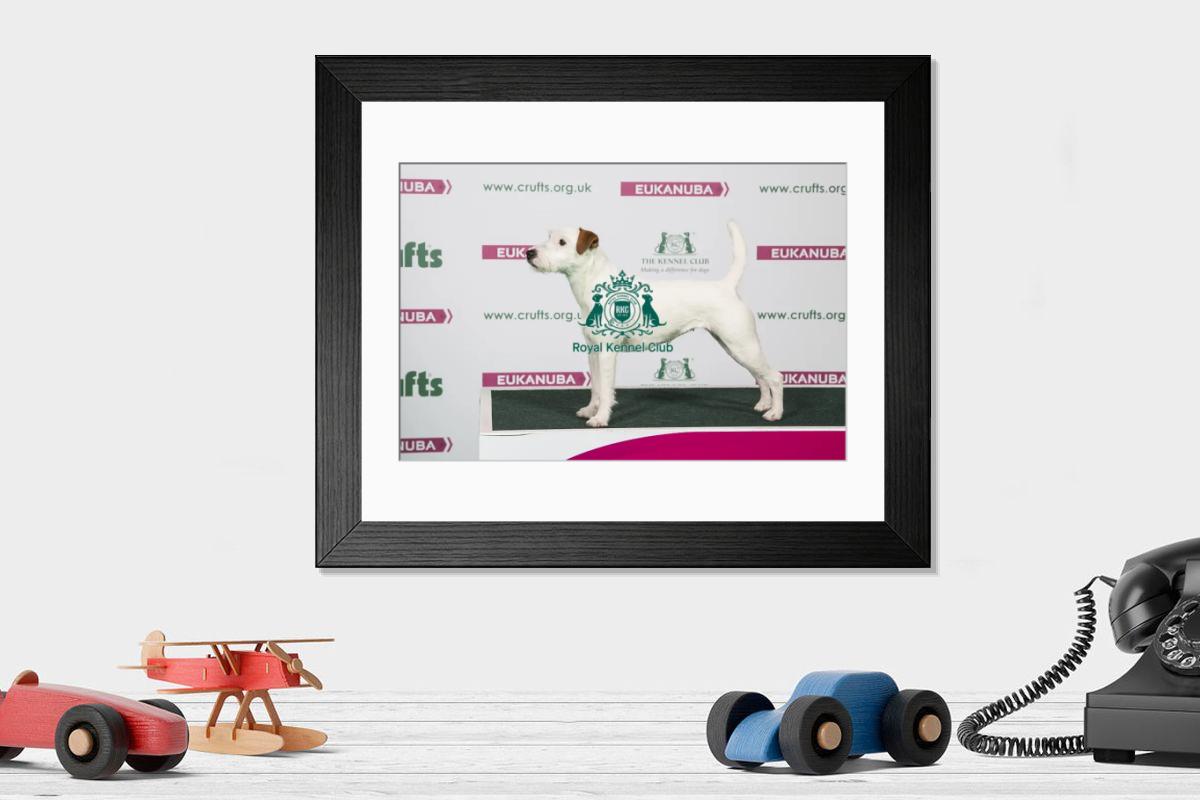 product preview 0