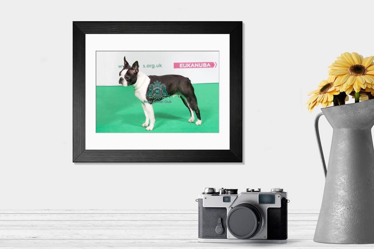 product preview 0