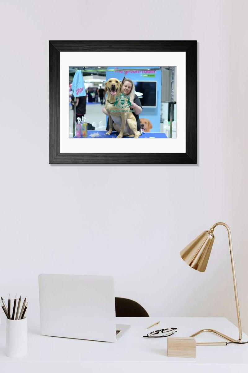 product preview 0